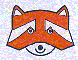 waschbaer